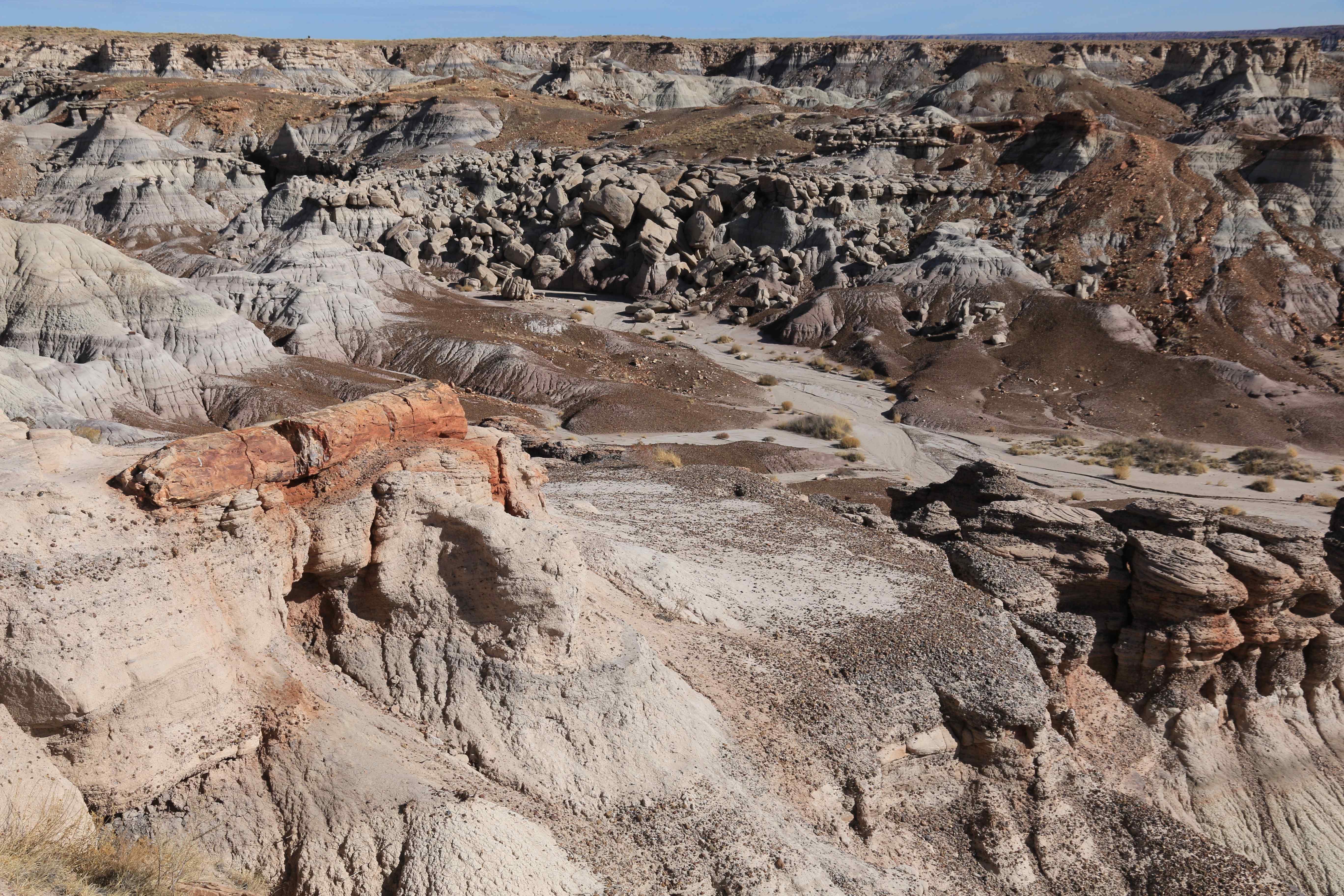 Petrified Forest NP